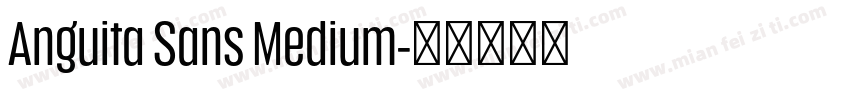 Anguita Sans Medium字体转换